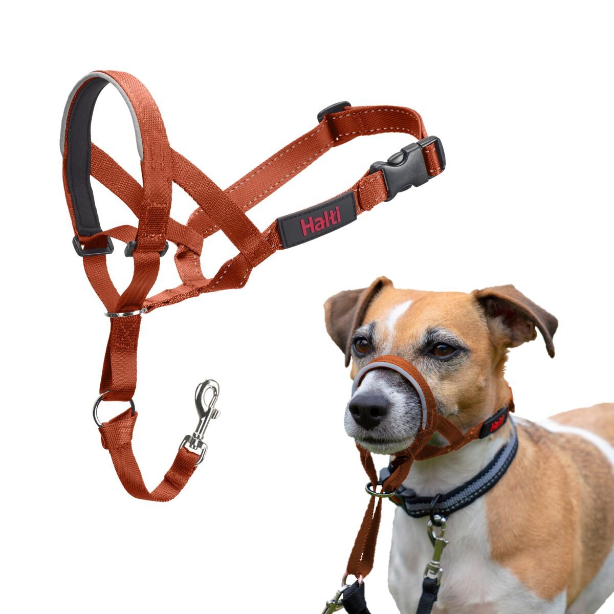 Bozal Company of Animals BURNT Naranja Talla 1