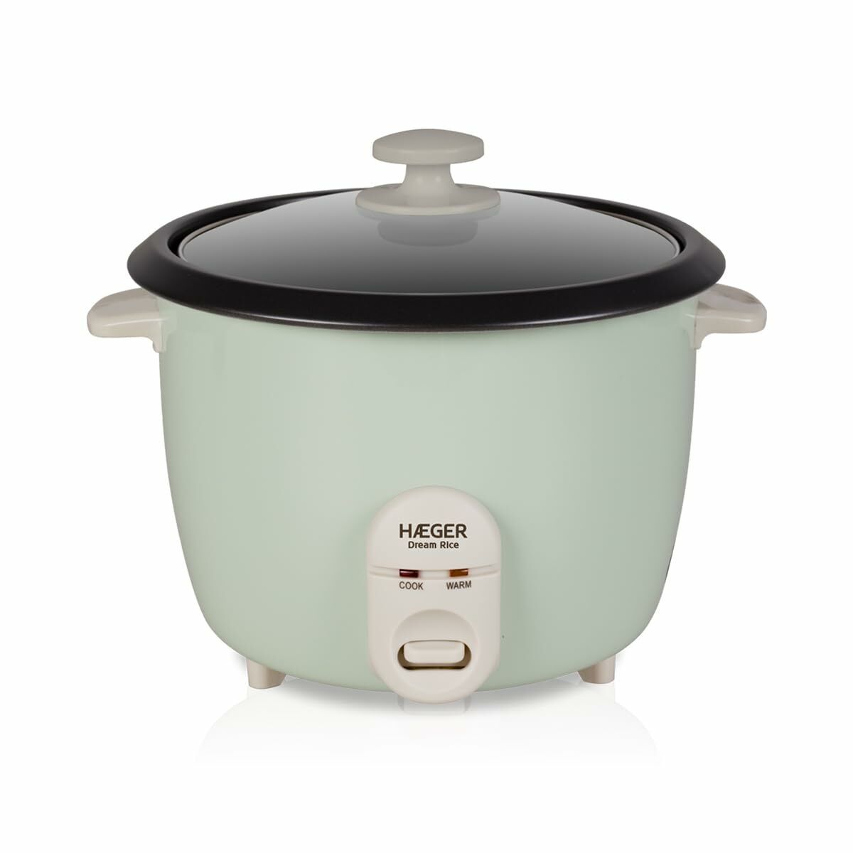 Arrocera Haeger RC-18L.002A Verde Acero Inoxidable Plástico 50 W