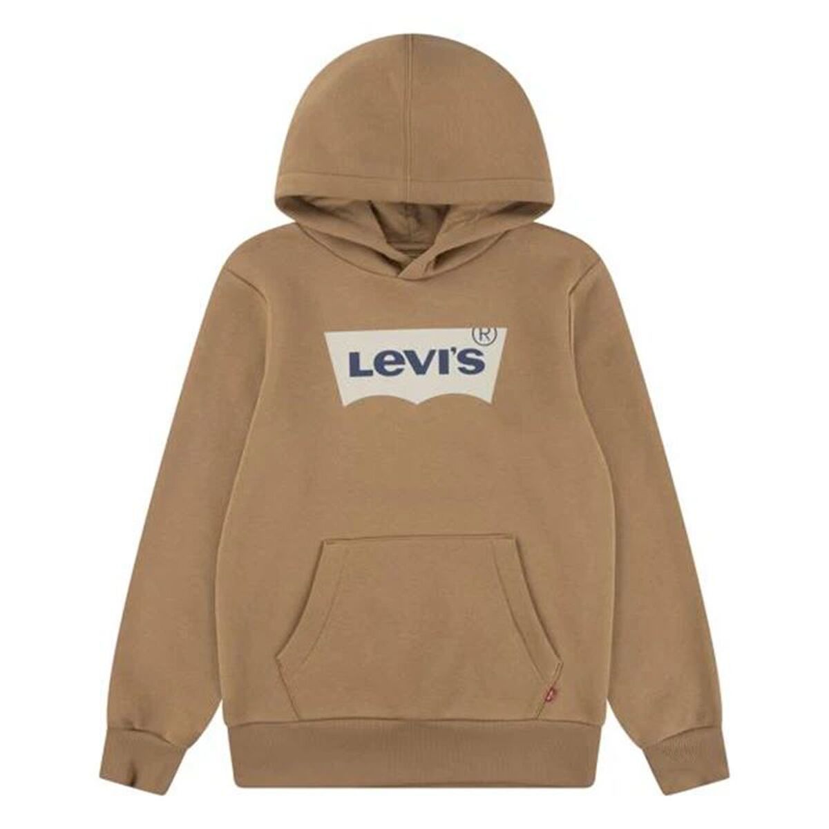 Sudadera con Capucha Niño Levi's Lvb Batwing Screenprint Hoodie Marrón