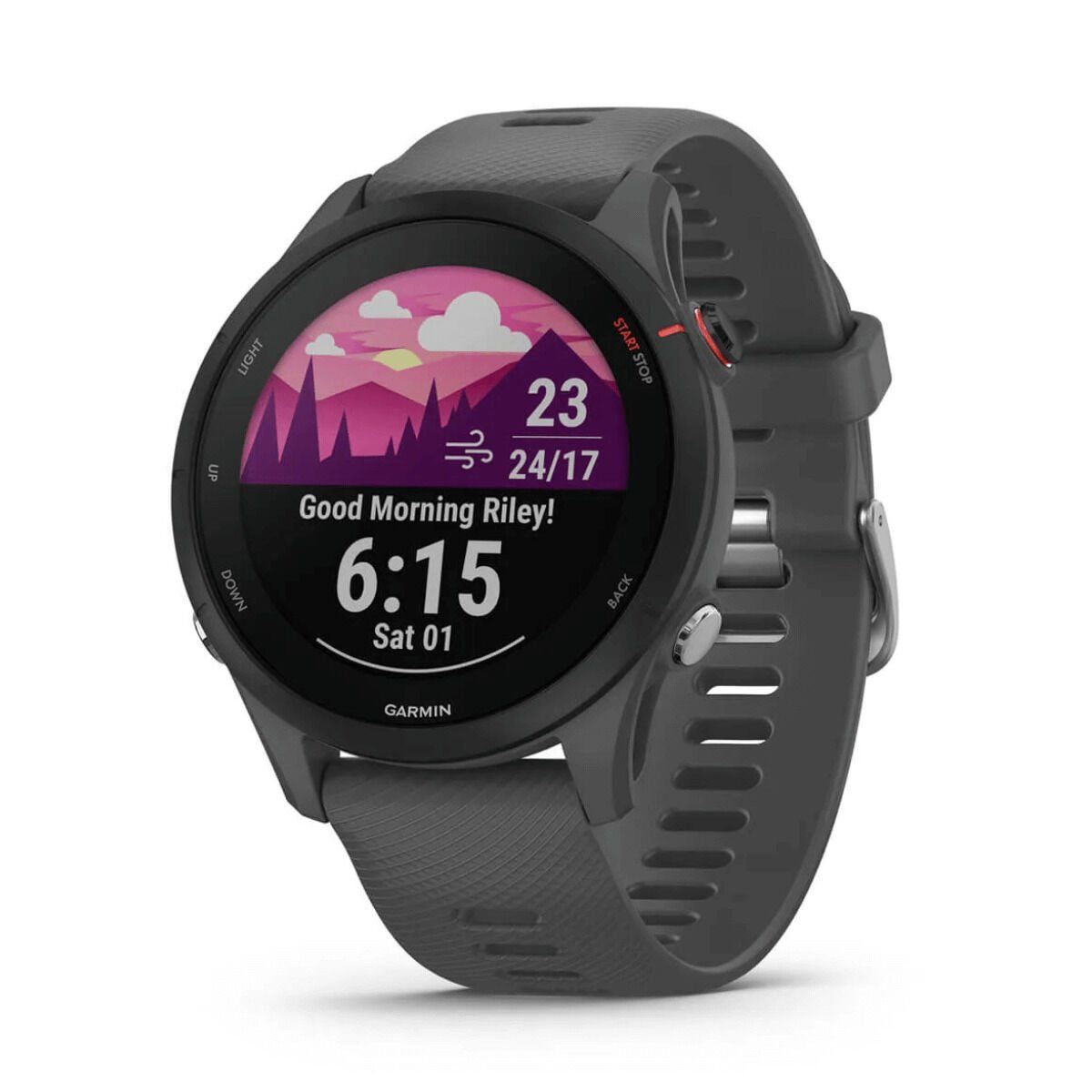 Smartwatch Garmin Forerunner 255 Gris 1,3" 46 mm