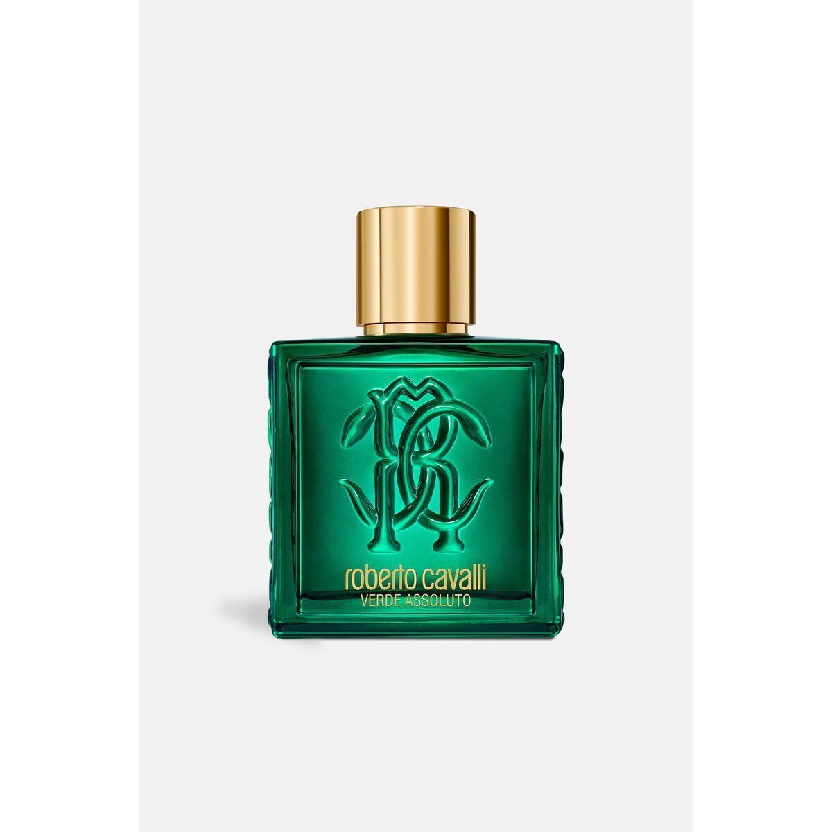 Perfume Hombre Roberto Cavalli UOMO ROBERTO CAVALLI 100 ml